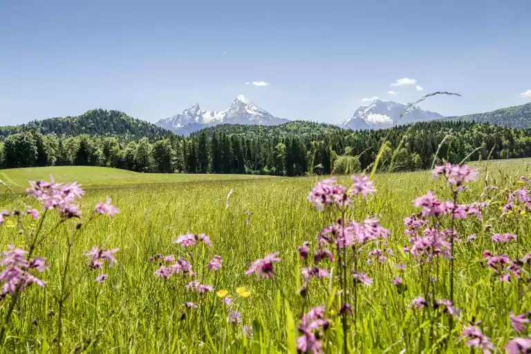 Idyllische Berglage Wandern Entspannen
